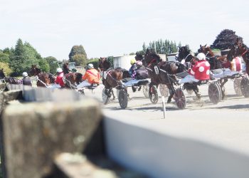 Matty and Nathan Williamson talk Winton