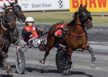 Victory for Ison in short Queensland return