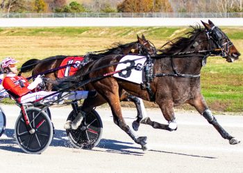 $300,000 in Kentucky Sire Stakes action at Oak Grove