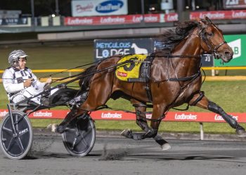 ‘Larry’s’ track record an ominous sign for ID23