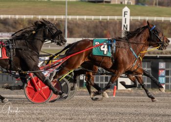 Photo finish camera decides Open winner