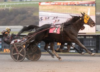 Front-favoring mare circles field to take Open