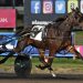 Gingras brilliance on display in Three Diamonds Final