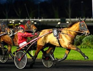 Bahia del Circeo takes Prix de Villers Cotterets in Paris