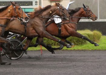 San Moteur earns ticket to Prix d’Amerique