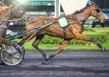 Grace du Digeon grinds it out at Vincennes