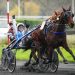 Major stakes races held at Vincennes 2 Major stakes races held at Vincennes