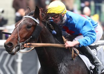 Major stakes races held at Vincennes