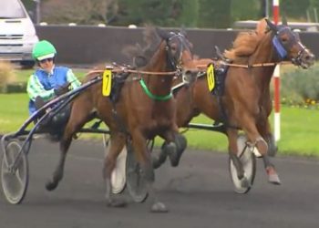 Offspring of legendary sires win at Vincennes