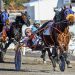 Series highlights long weekend at Cumberland 2 Series highlights long weekend at Cumberland