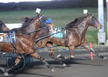 McCarthy back from holiday on fire