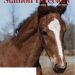 OHHA announces winner of 2024 Stallion Directory Photo Contest