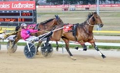 A Rocknroll Dance gelding too good in Toreace Flying Mile