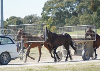 World class facilities sees Cranbourne break records