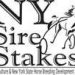 NYSS announces increase to Breeders Awards program