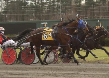 Ahle wins five at Freehold