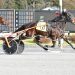 American Tour N captures Saratoga feature