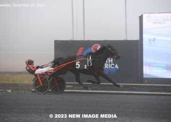 Former Breeders Crown champ romps in Boxing Day Preferred