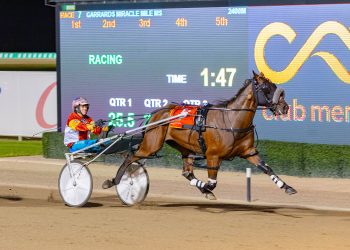 2024 Sky Racing Carnival of Miracles race programme