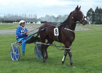 Dream trip confirmed