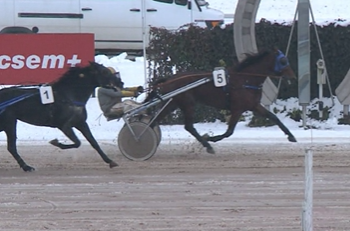 Fazekas takes two at snowy Kincsem Park