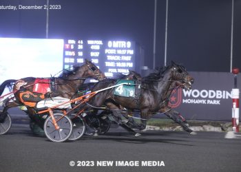 Emmetts Buddy back on top