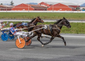 Fraser numbers up in 2023