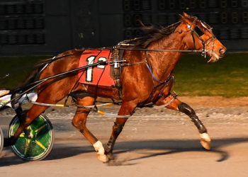 Gaitway Guy continues to dominate DSBF Series