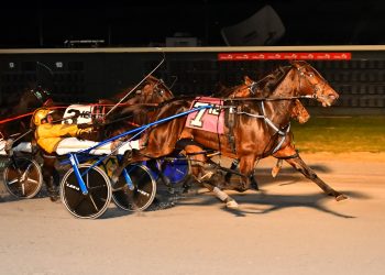 Mare notches fifth straight in Open Handicap