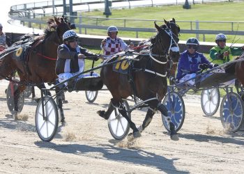 Louies Girl the real deal