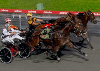 Dixon sweating on Leap To Fame’s recovery