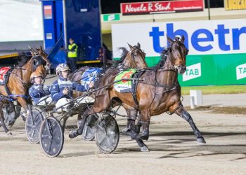 Weekly spotlight on breeding