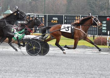 Malibu Kid captures Saratoga Open Trot