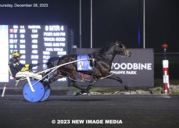 Two-year-old stays perfect for sole proprietor