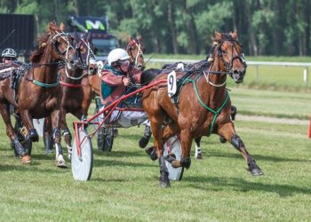 Under the radar trotter wins for McCormick
