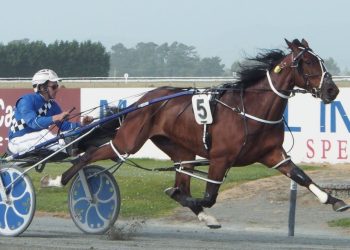 Williamson gets five