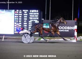 Rookie three-year-old takes new mark on step up