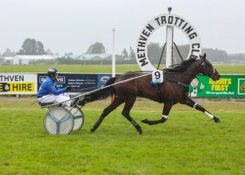 Oscar delivers knockout punch