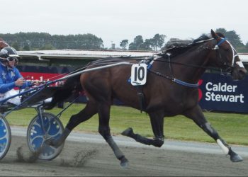 Oscar supremo in David Moss