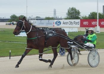 Dolan taking cautious approach with Our Shangri Lana