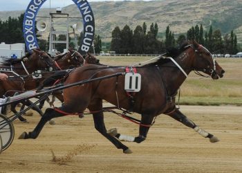 Roxburgh TC celebrating 75 years