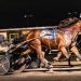 Ricky Be Sharp, Stranger Things win at Batavia Downs