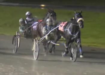 Sunshine Boy shines through the rainclouds