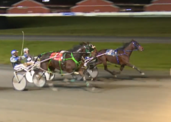 Noses apart in Fraser Preferred