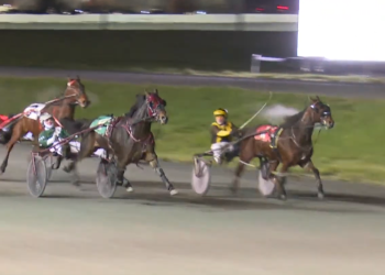 Itll Be Fine brings down Sunshine Boy