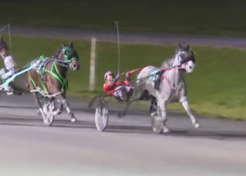 Grey Sea hits double digits with Preferred win
