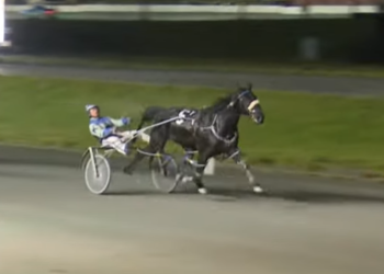 Sunshine Boy takes back crown for good