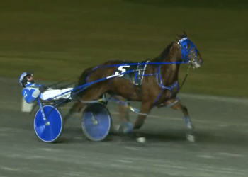 Brodys Scrapper extends Flamboro streak to eight