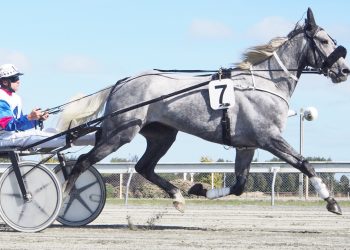Canterbury raiders versus the Pride of the South on Invercargill Cup Day