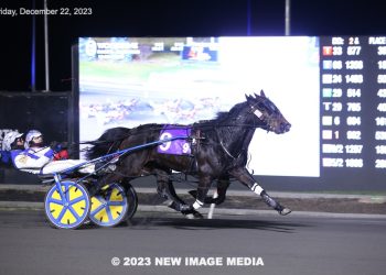 So Much More up in time